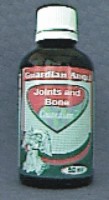 Joints and Bone