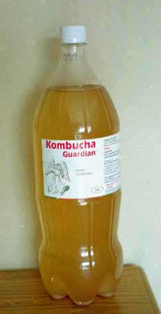 Kombucha